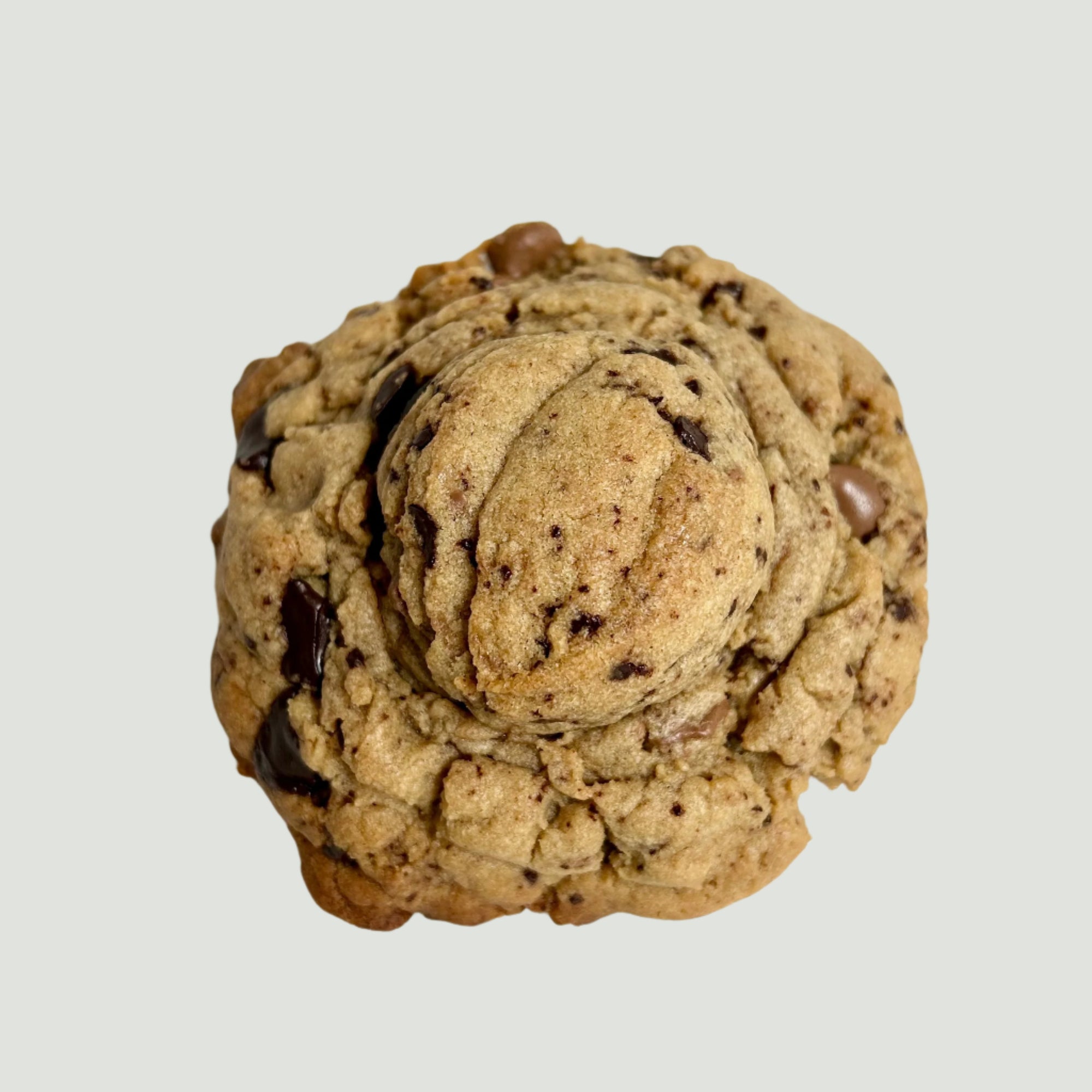 NutmegSpiced handmade chocolate chip cookie with rich chunks, fresh baked