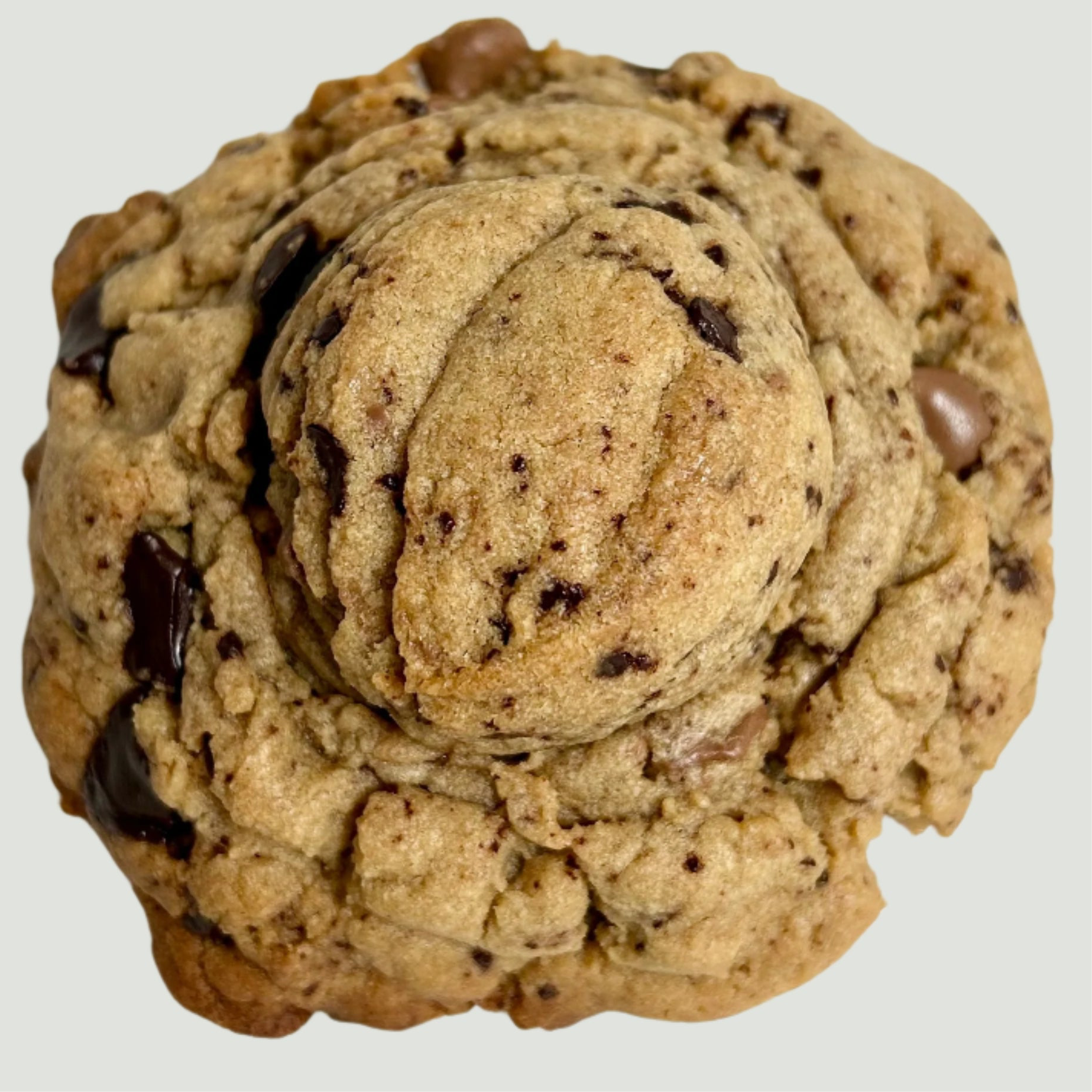 NutmegSpiced handmade chocolate chip cookie with rich chunks, fresh baked
